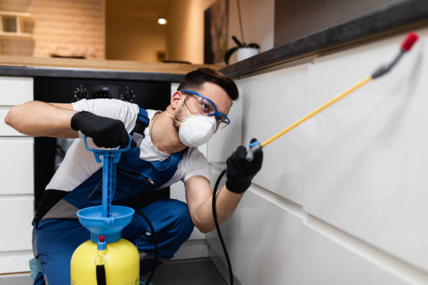  Lynchburg, TN Pest Control Pros