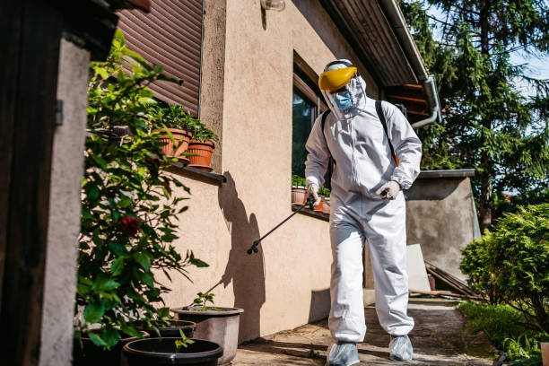Flea Control Services in Lynchburg, TN