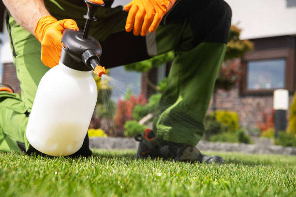 Best Flea Control Services  in Lynchburg, TN