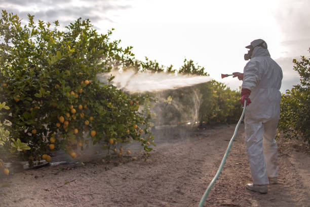 Trusted Lynchburg, TN Pest Control Experts