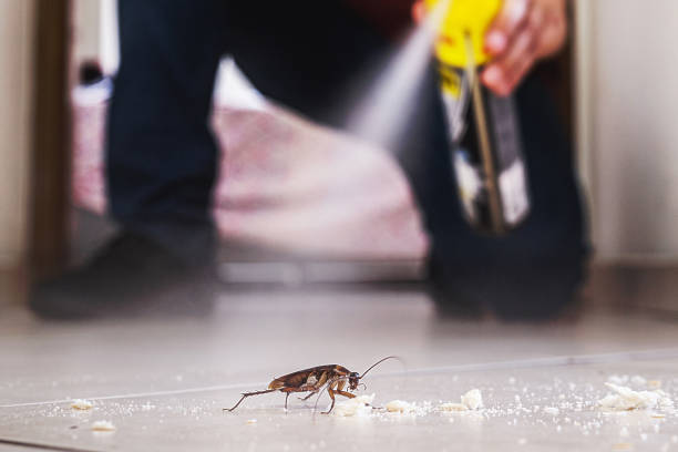 Best Best Pest Control Companies  in Lynchburg, TN